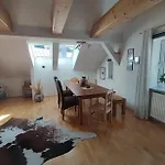 Apartment Haus Schatzl Apartments Mit Gartenanteil Und Bademoeglichkeit Im Fluss Bad Aussee
