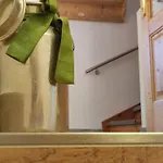 Haus Schatzl Apartments Mit Gartenanteil Und Bademoeglichkeit Im Fluss Bad Aussee