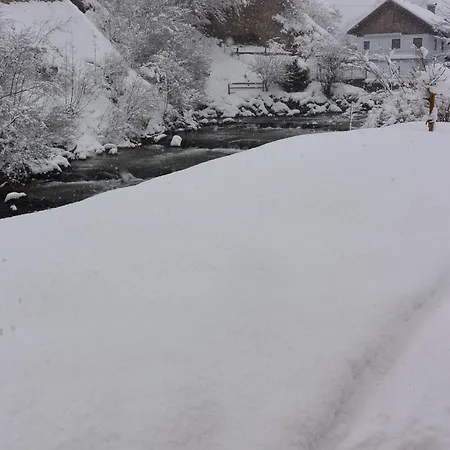 Haus Schatzl Mit Garten Und Bademoeglichkeit Im Fluss * Bad Aussee