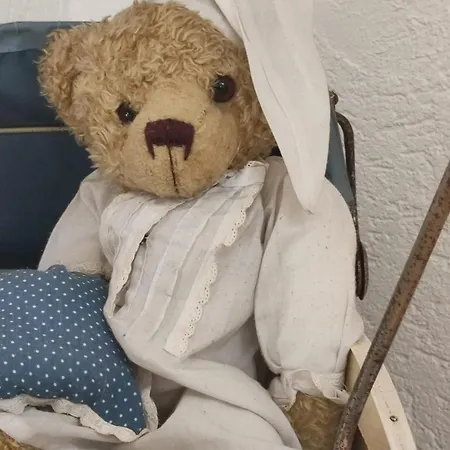 Haus Schatzl Mit Gartenanteil Und Bademoeglichkeit Im Fluss Appartamento *