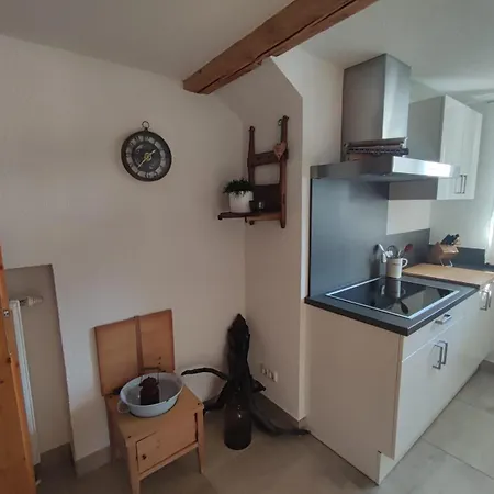 Haus Schatzl Mit Gartenanteil Und Bademoeglichkeit Im Fluss Lejlighed *