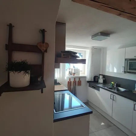 Haus Schatzl - Wahl Aus 2 Apartments Mit Gartenanteil Und Bademoeglichkeit Im Fluss * Bad Aussee