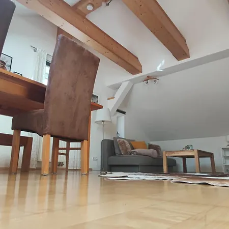 Haus Schatzl Mit Gartenanteil Und Bademoeglichkeit Im Fluss Bad Aussee