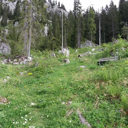 Haus Schatzl Mit Garten Und Bademoeglichkeit Im Fluss * Bad Aussee