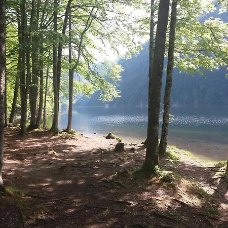 Apartmán Haus Schatzl Mit Garten Und Bademoeglichkeit Im Fluss *