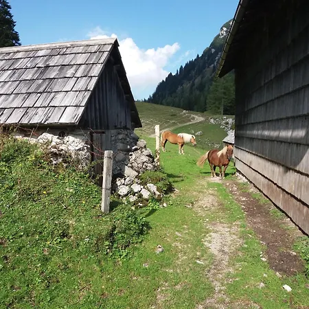 Haus Schatzl Mit Garten Und Bademoeglichkeit Im Fluss Apartmán *