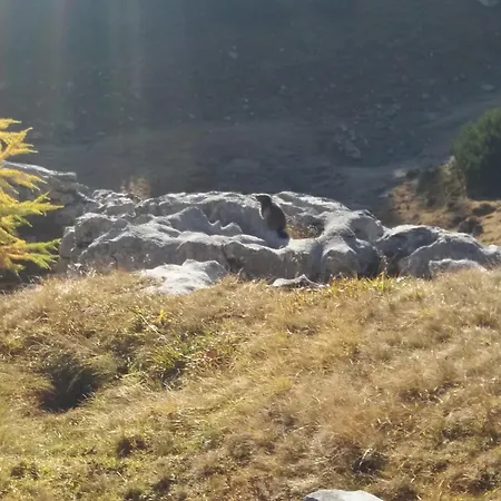 Apartmán Haus Schatzl Mit Garten Und Bademoeglichkeit Im Fluss