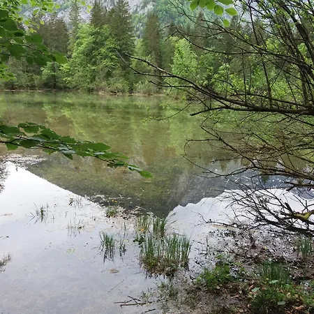 Haus Schatzl Mit Garten Und Bademoeglichkeit Im Fluss Apartmán Bad Aussee