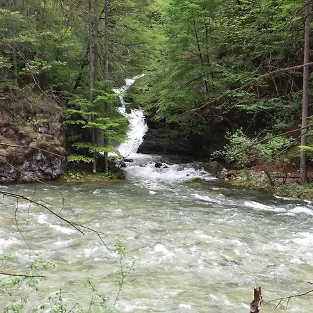 Haus Schatzl Mit Garten Und Bademoeglichkeit Im Fluss Bad Aussee