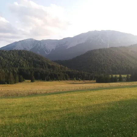 Haus Schatzl Mit Garten Und Bademoeglichkeit Im Fluss * Bad Aussee