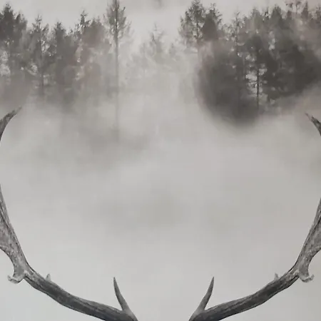 Haus Schatzl Mit Gartenanteil Und Bademoeglichkeit Im Fluss Appartamento