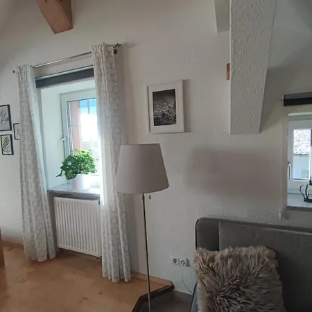 Haus Schatzl - Wahl Aus 2 Apartments Mit Gartenanteil Und Bademoeglichkeit Im Fluss Bad Aussee