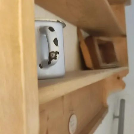 Haus Schatzl Mit Gartenanteil Und Bademoeglichkeit Im Fluss * Bad Aussee