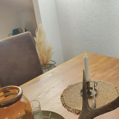 Haus Schatzl - Wahl Aus 2 Apartments Mit Gartenanteil Und Bademoeglichkeit Im Fluss