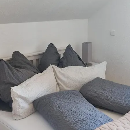 Haus Schatzl - 2 50 Oder 95 M2, Gartenbereich Und Baden Im Fluss *
