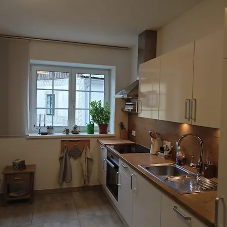 Haus Schatzl - 2 50 Oder 95 M2, Gartenbereich Und Baden Im Fluss באד אאוסי