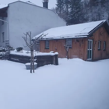Haus Schatzl - 2 50 Oder 95 M2, Gartenbereich Und Baden Im Fluss Apartmán Bad Aussee