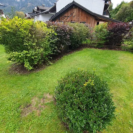 Haus Schatzl - 2 50 Oder 95 M2, Gartenbereich Und Baden Im Fluss דירה