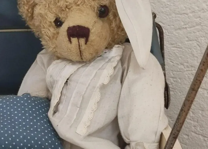 Haus Schatzl Mit Gartenanteil Und Bademöglichkeit Im Fluss Apartment *