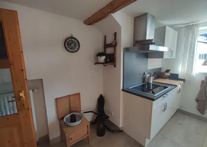 Haus Schatzl Mit Gartenanteil Und Bademöglichkeit Im Fluss Apartment *