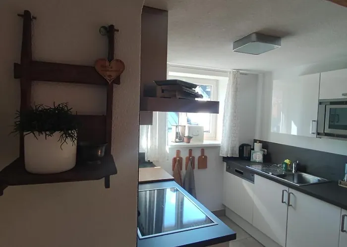 Haus Schatzl Mit Gartenanteil Und Bademöglichkeit Im Fluss * Bad Aussee